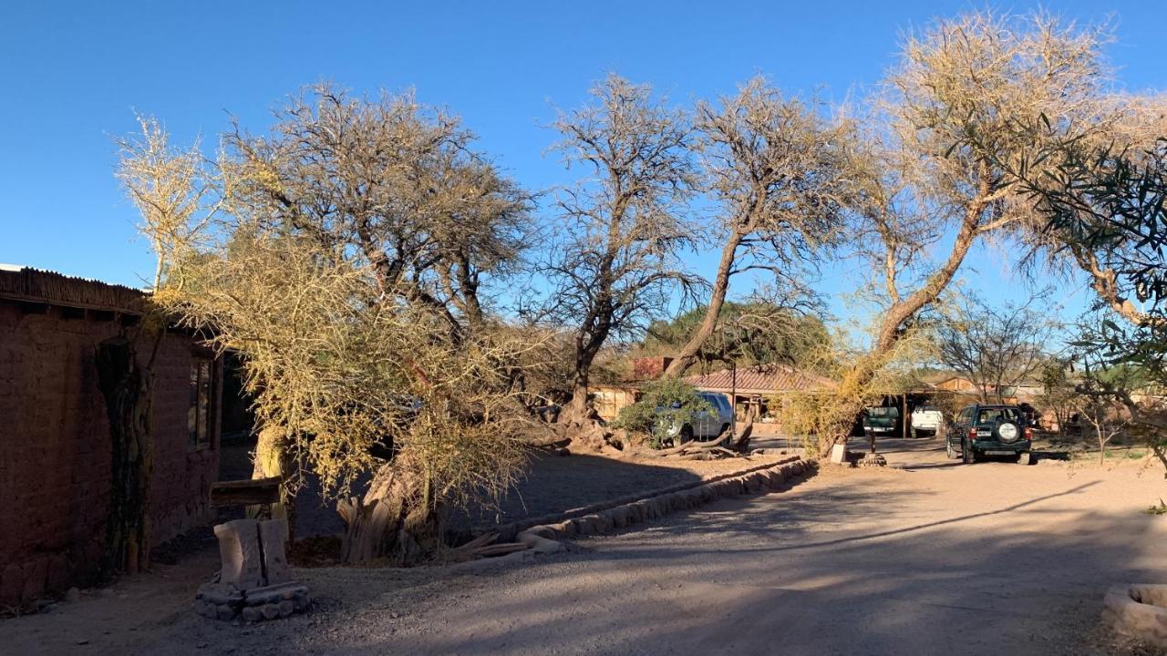 산 페드로 데 아타카마 Casa Adobe - Tranquilidad En El Desierto De Atacama 빌라 외부 사진